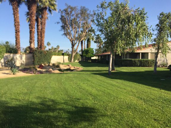 Rear yard grass/greenbelt