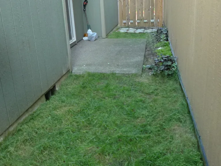 fenced side yard