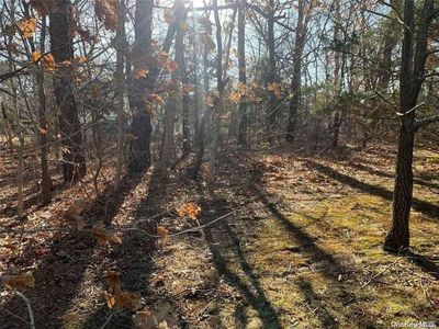 22 East Parkview Drive, Shirley, NY, 11967
