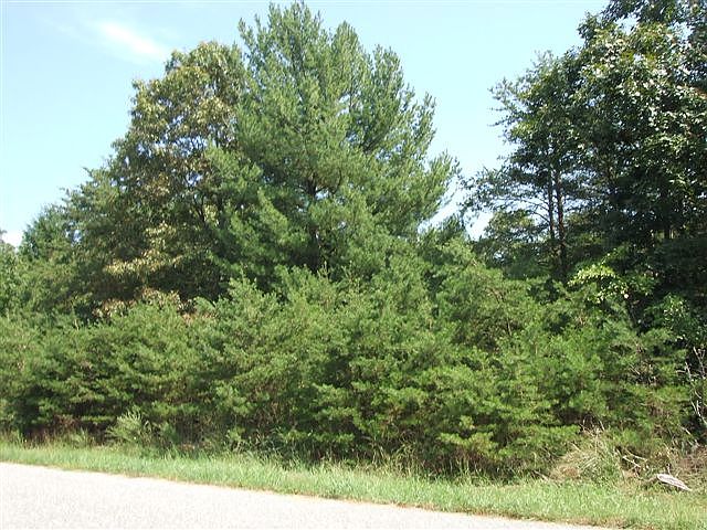 1st image of 8 Holly Knoll Drive