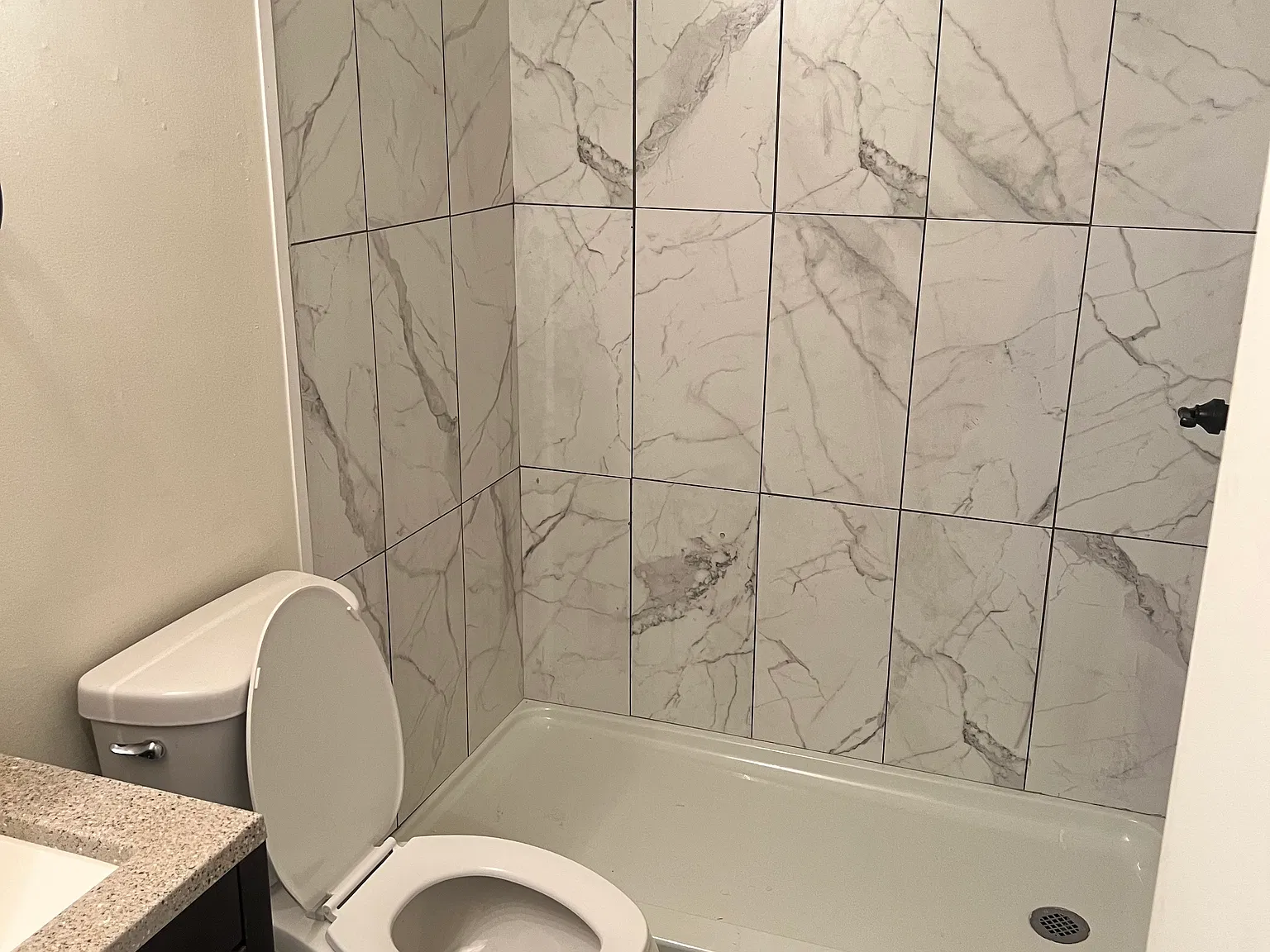 2 bed, 1000 sqft, $1,600 — Photo 4