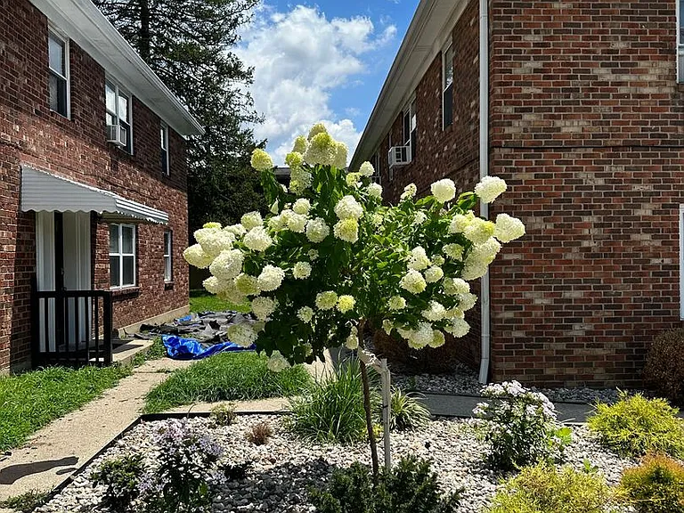 2600 Le Blanc Ct — Photo 39