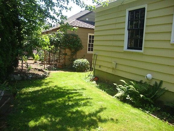 Back yard