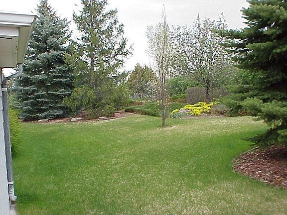 Back Gardens and Yard