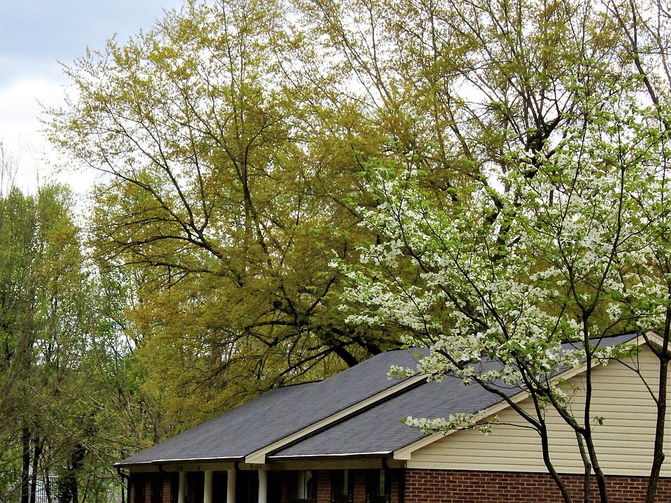 1st image of 314 Court Dr