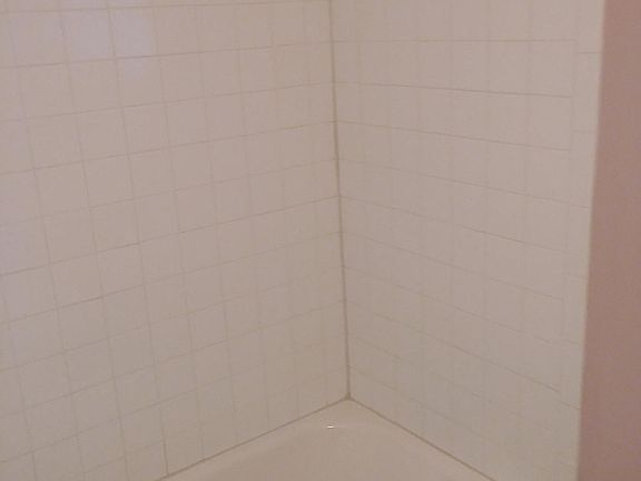 Shower/bathtub. La ducha/ba_era.