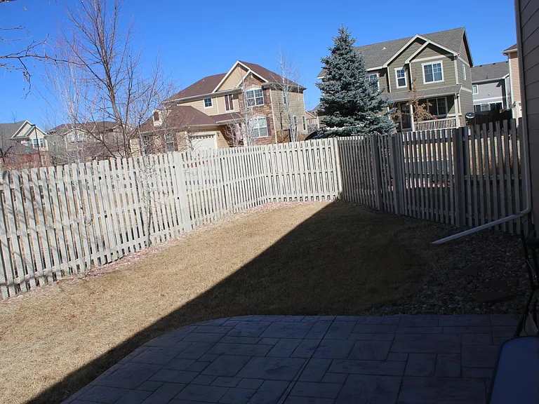 Backyard 3