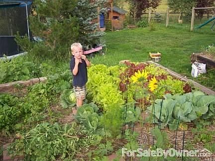 Raised garden beds in back yard
