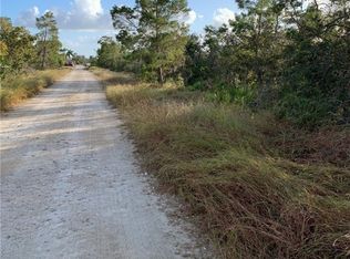 116 Patton Ave, Lake Placid, FL 33852