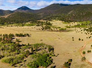 Forest Ln #231, Lake George, CO 80827