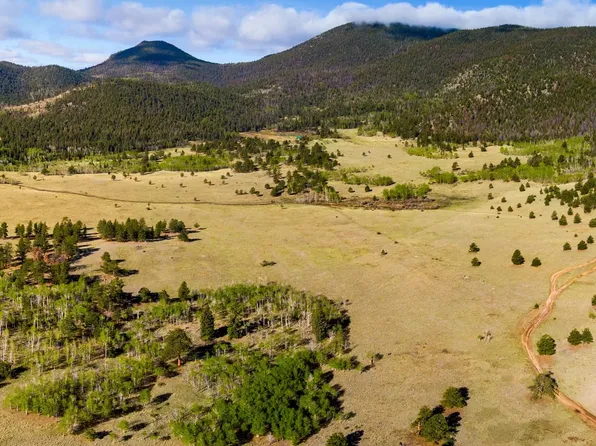 Forest Ln #231, Lake George, CO 80827