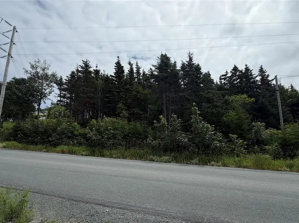 367 Old Pennywell Road, St.Johns, NL A1B1A8