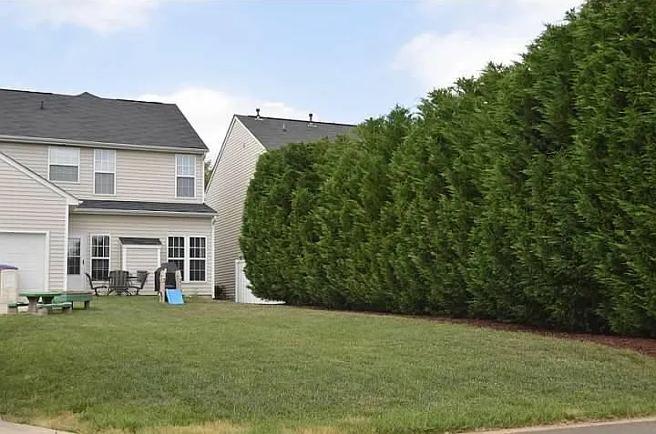 4 bed, 2.5 bath, 2300 sqft, $2,400 — Photo 2