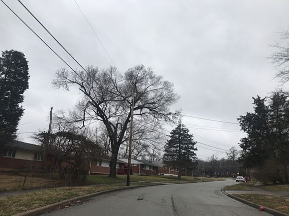 5th image of 10290 Panola Dr