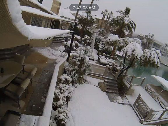 Snow Day