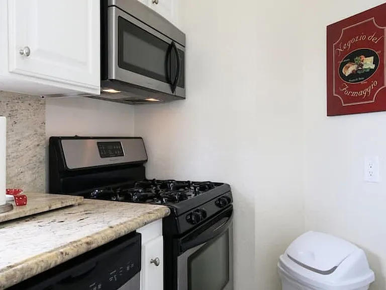 2645 Ocean Front Walk — Photo 48