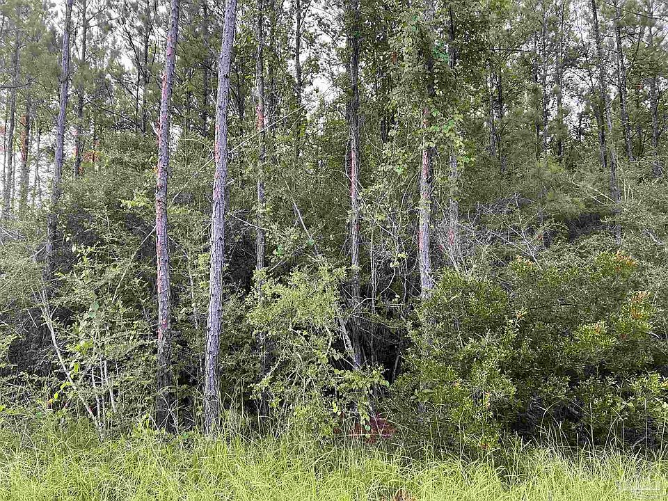 2nd image of 1 Steele Meadow Dr