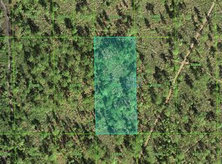 60 E St, Lake Wales, FL 33853