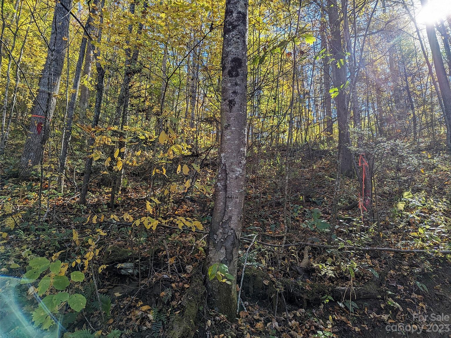 00TB White Oak Rd, Waynesville, NC 28785 MLS 4085400 Zillow