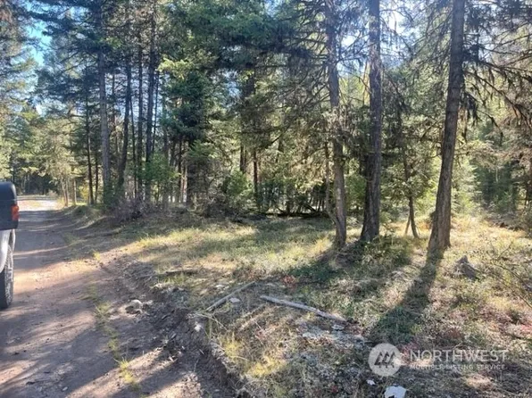 200 East Fork Road, Wauconda, WA 98859