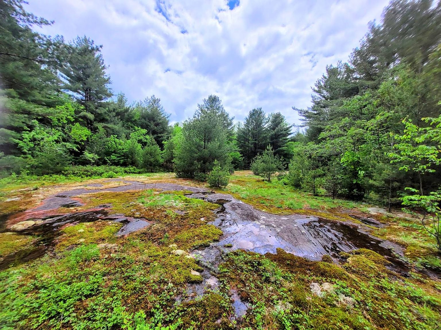 12565 Arnoldville Rd, Harrisville, NY 13648 MLS 11229122 Zillow