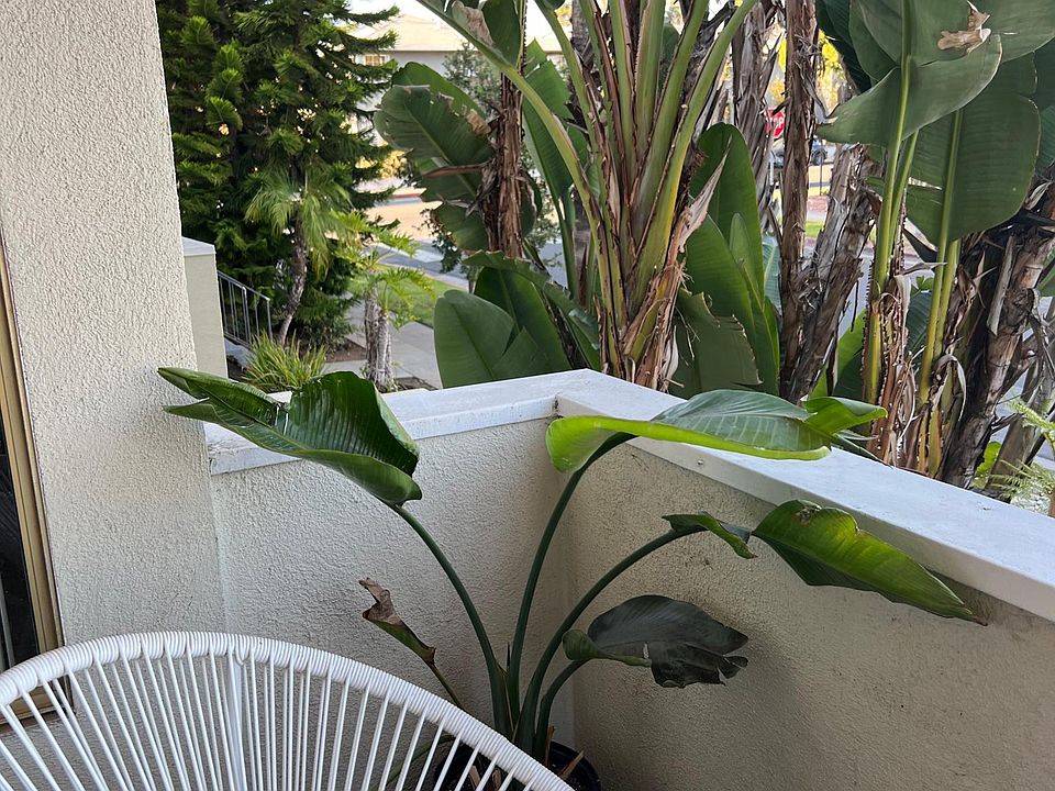 1st image of 808 18th St #808