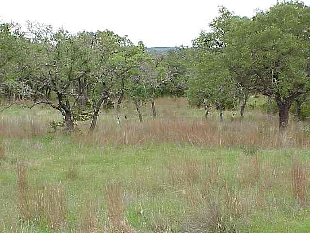 1st image of Estates Dr