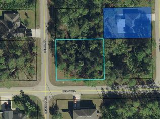 2 Selkirk Pl, Palm Coast, FL 32164