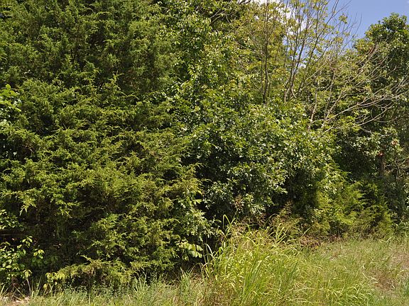 4th image of 000 E 517th Road