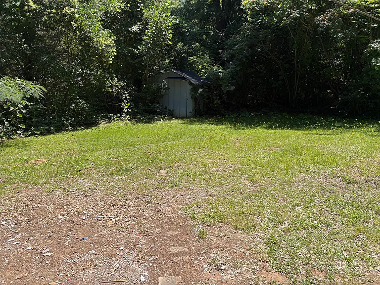 Back yard