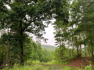 Blue Ridge Dr, Blue ridge, GA 30513