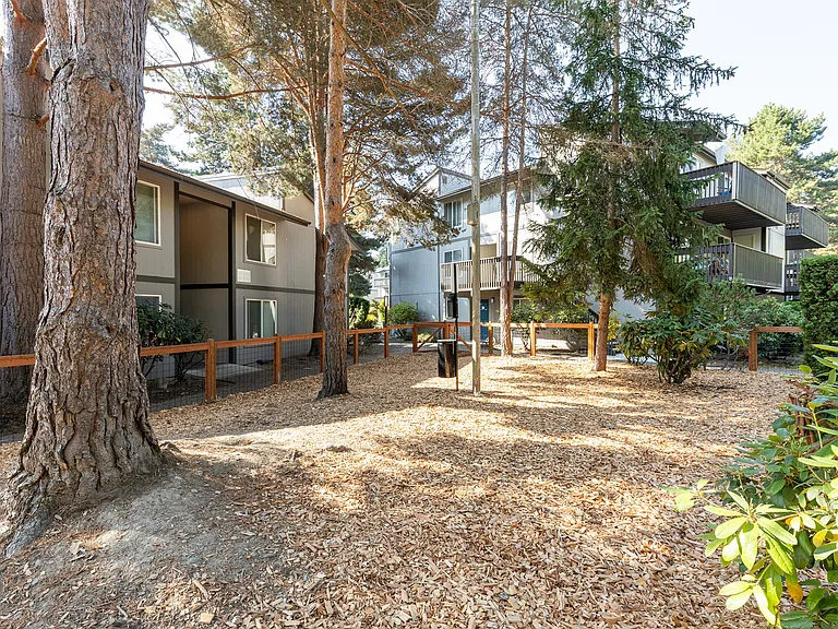 Alder Bellevue — Photo 22