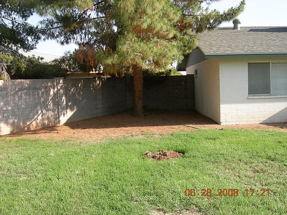 back yard