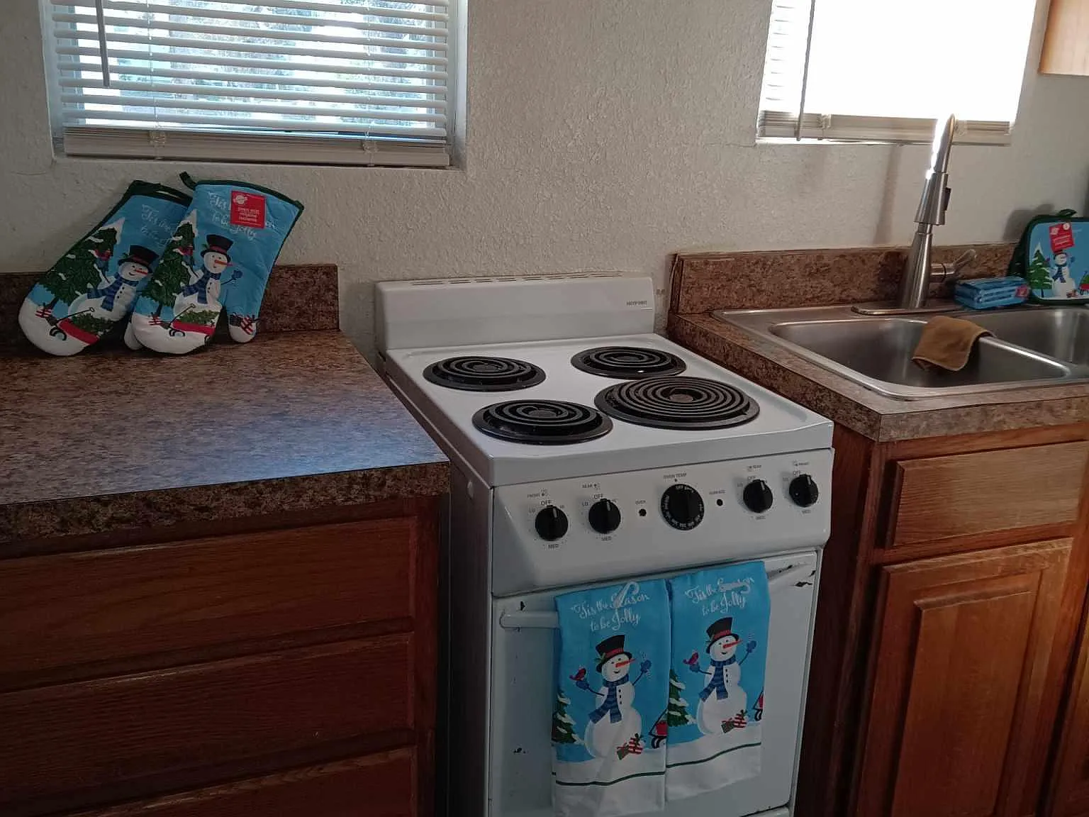 207 N Peninsula Dr — Photo 3