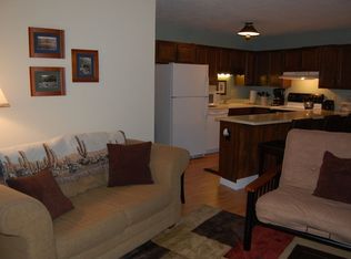 1043 Straight Creek Dr #0-201, Dillon, CO 80435