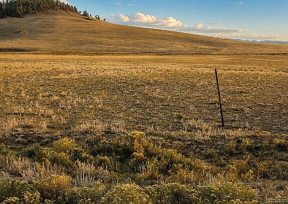 5th image of 6065 Moffat Road