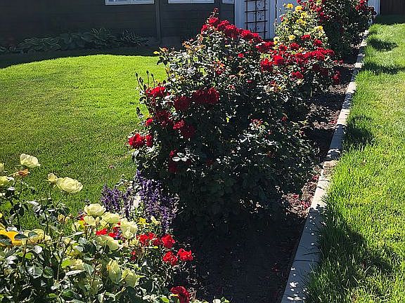 5th image of 712 Montague Dr