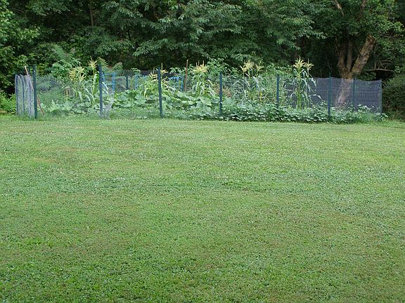 Backyard Garden