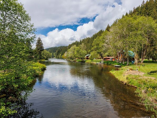 10252 Lakeview Dr, Birkenfeld, OR 97016