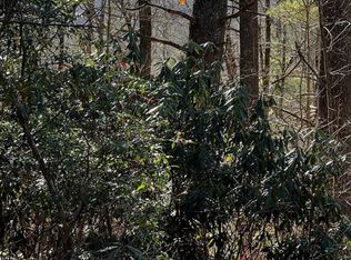 21 Wildcat Ln, Cashiers, NC 28717