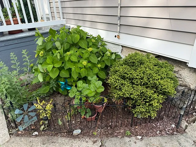 3 bed, $1,650 — Photo 3