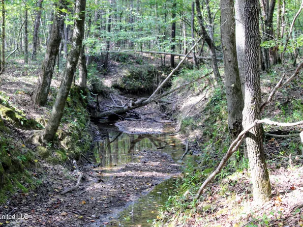 391 300th, Big Creek, MS 38914