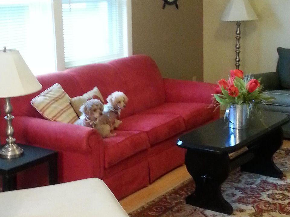 1st image of 24 Beachwood Bay Dr