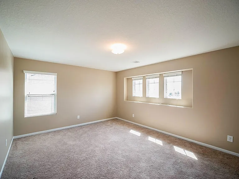17806 Deep Shade Ct — Photo 17