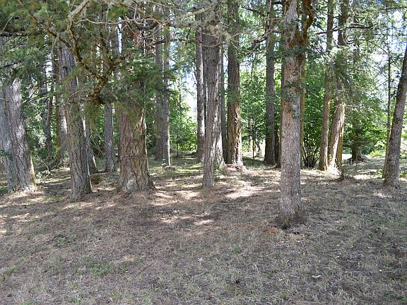 4th image of Courtney Creek Drive