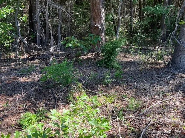 0 Fm 1801, Mineola, TX 75773