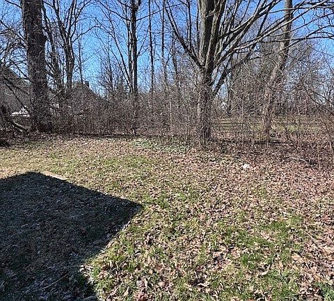 3rd image of 516 Wildwood Ave