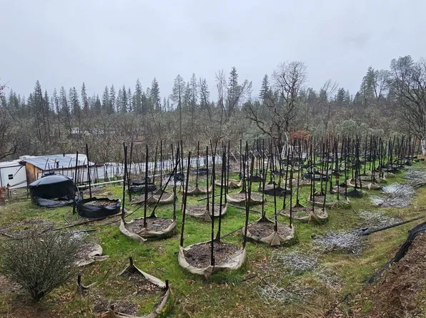 341 Buck Ln, Hayfork, CA 96041