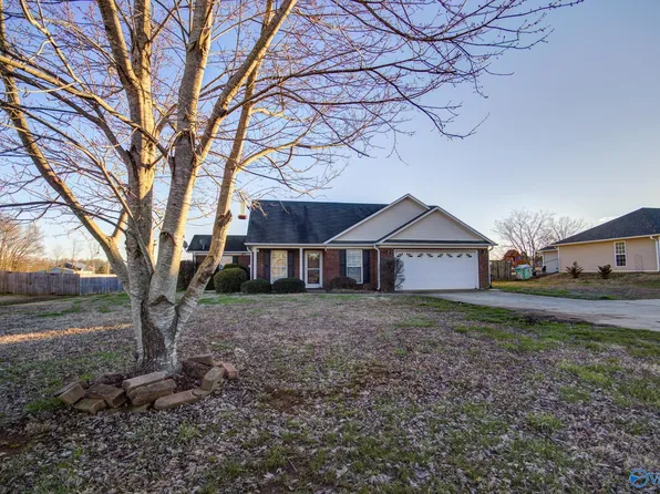 14207 Pulaski Pike, Ardmore, AL 35739