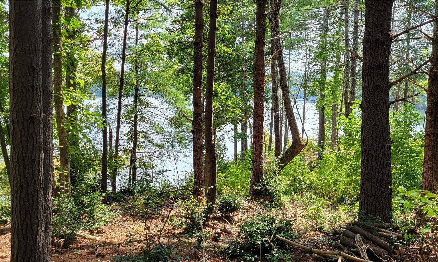 Scenic Ln #240, Granite Falls, Nc 28630 